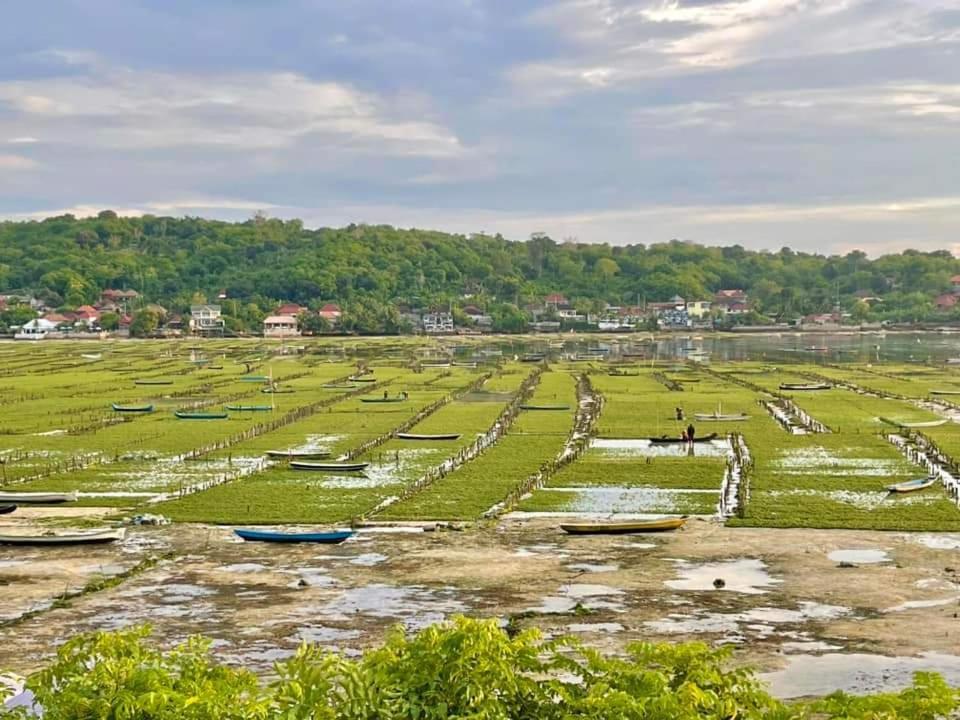 Lebaoh Nusa Cottage 누사 렘봉안 외부 사진